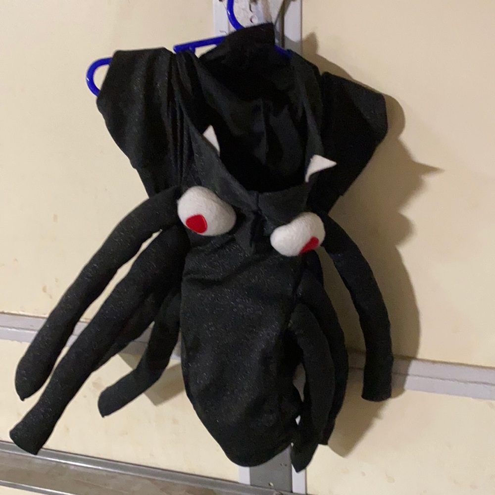 Martha Stewart Pets Dog Costume